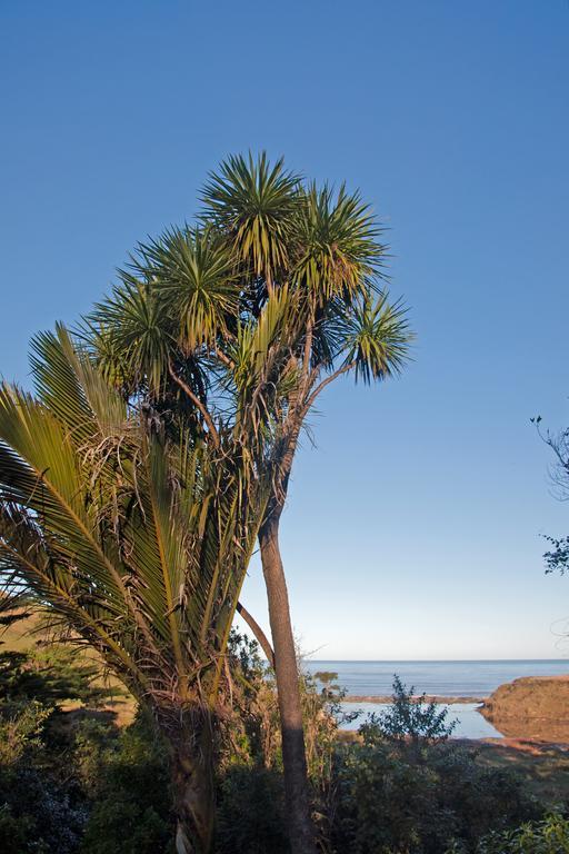 The Cottage Wairoa المظهر الخارجي الصورة